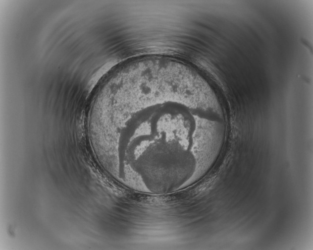 X0000100500875200806271257