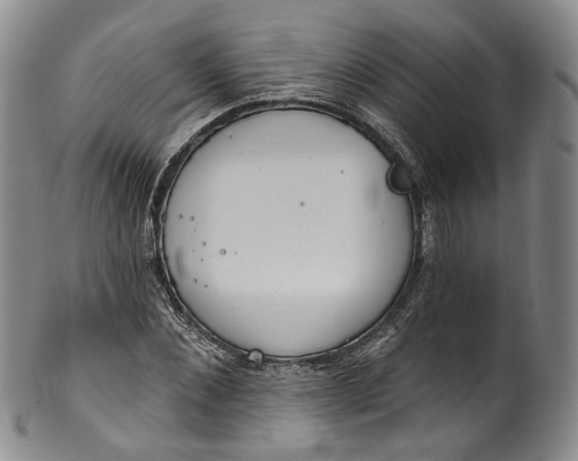 X0000100500876200806271257