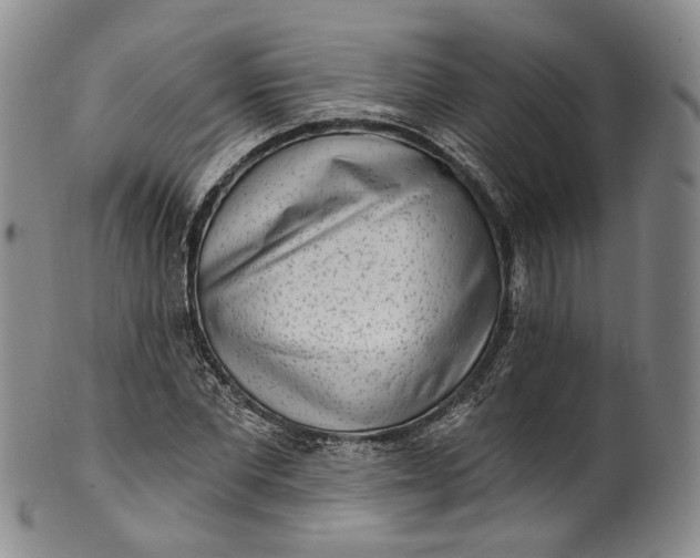 X0000100500877200806271257