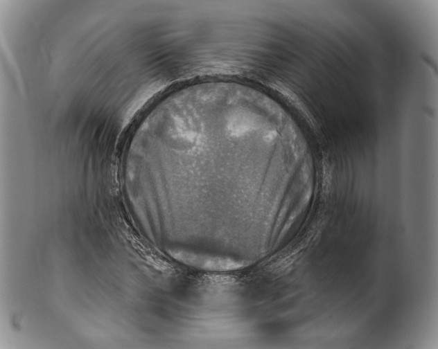 X0000100500878200806271257