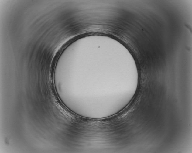 X0000100500880200806271257