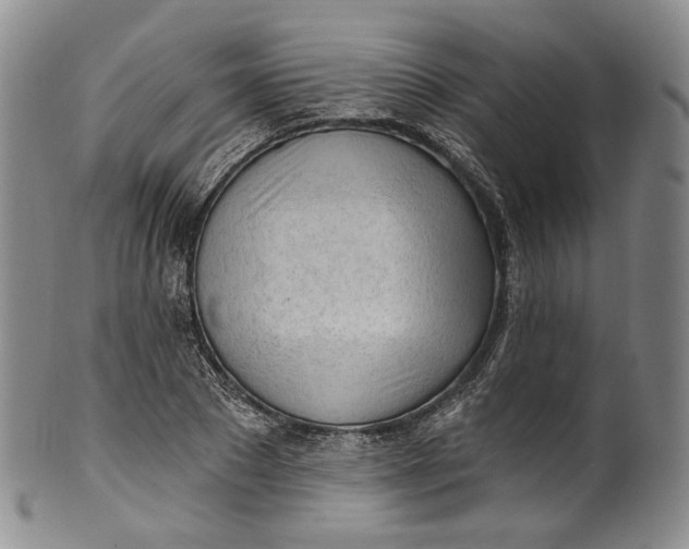 X0000100500881200806271257