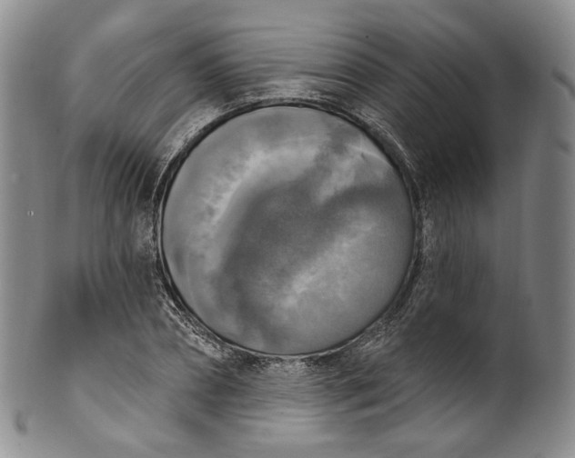 X0000100500882200806271257