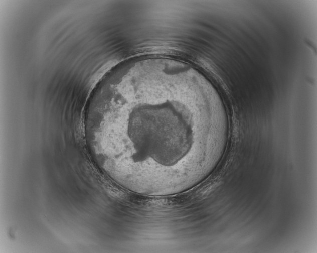 X0000100500883200806271256