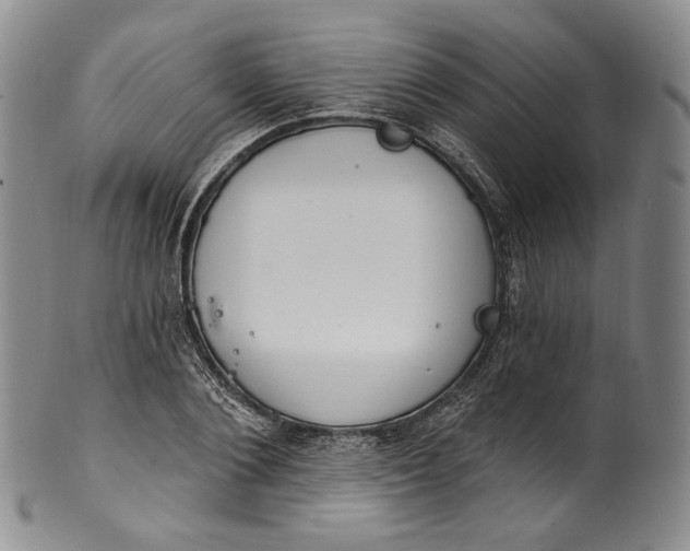 X0000100500884200806271256