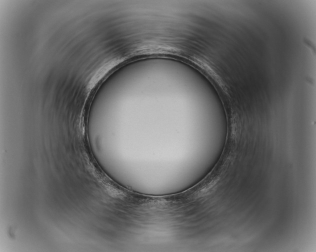 X0000100500885200806271256