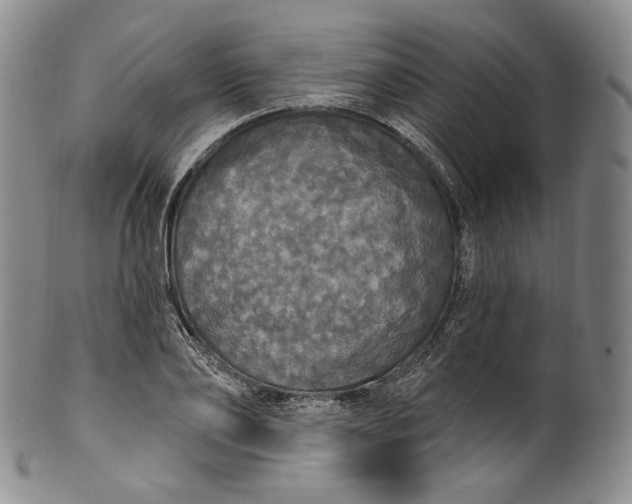 X0000100500886200806271256