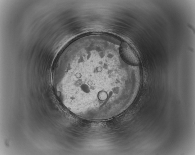 X0000100500887200806271256