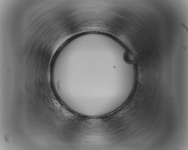 X0000100500888200806271256