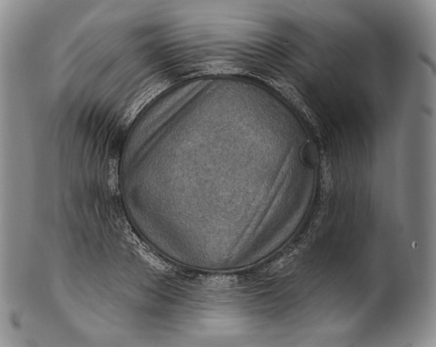 X0000100500889200806271256