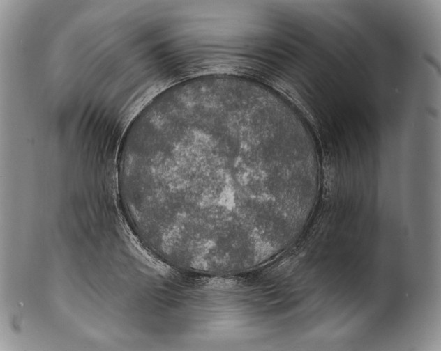 X0000100500890200806271256