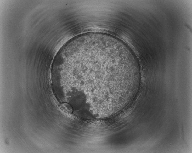 X0000100500891200806271256