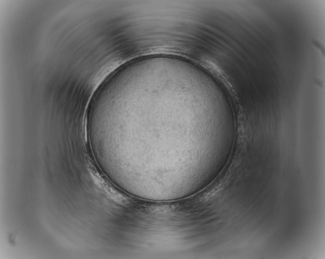 X0000100500892200806271256