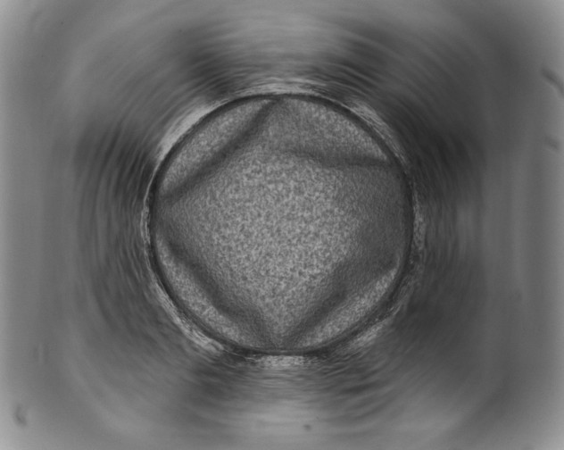 X0000100500893200806271256