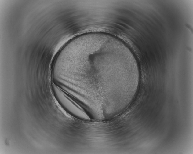 X0000100500894200806271256