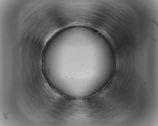 X0000100500896200806271256