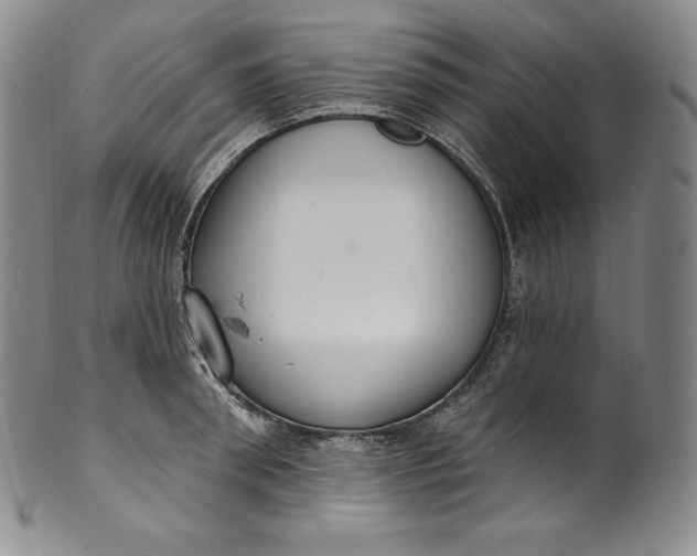 X0000100500898200806271256