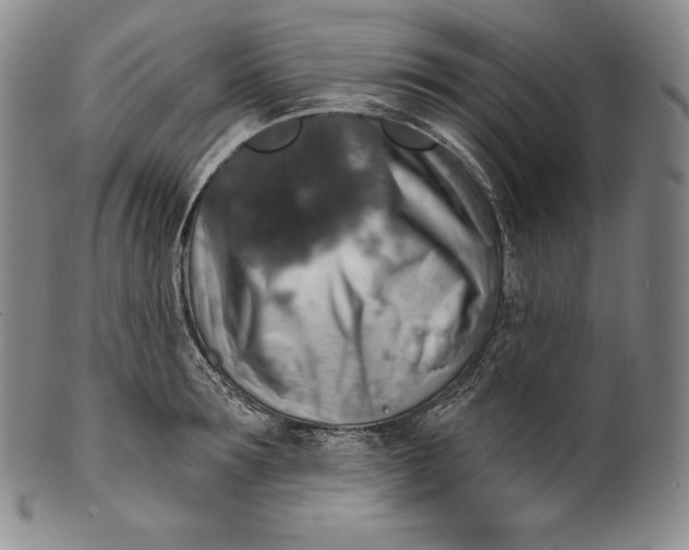 X0000100500899200806271256