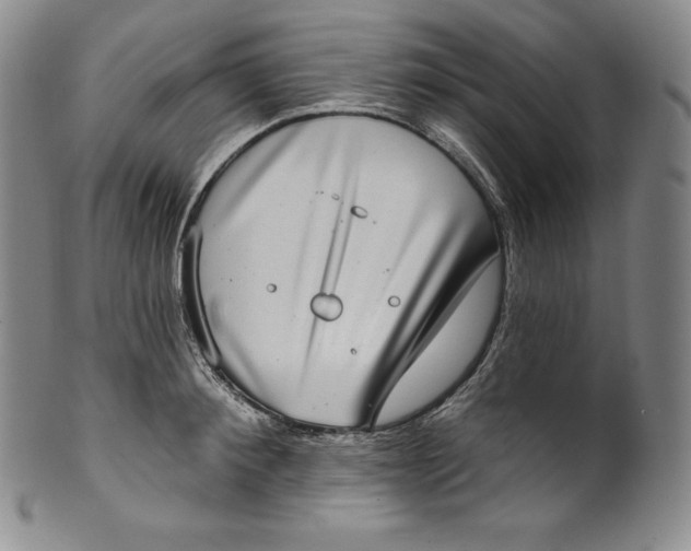 X0000100500900200806271256