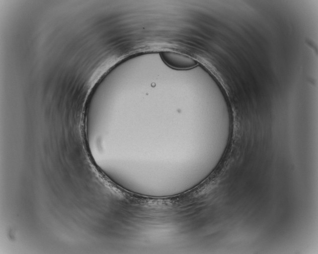 X0000100500901200806271256