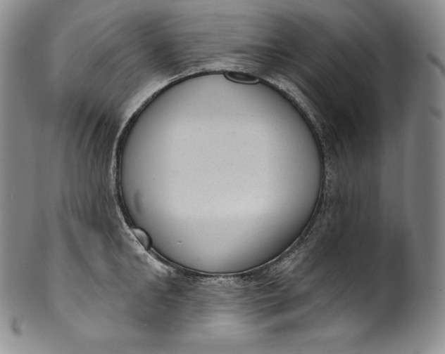 X0000100500902200806271256