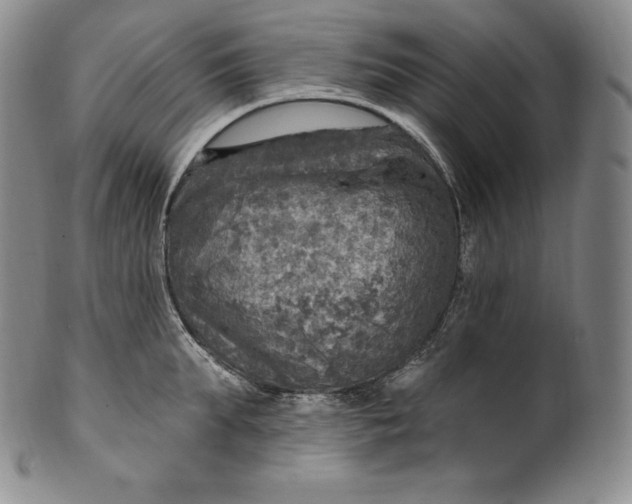 X0000100500903200806271256