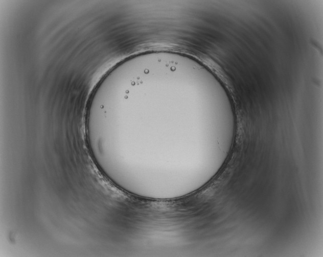 X0000100500904200806271256