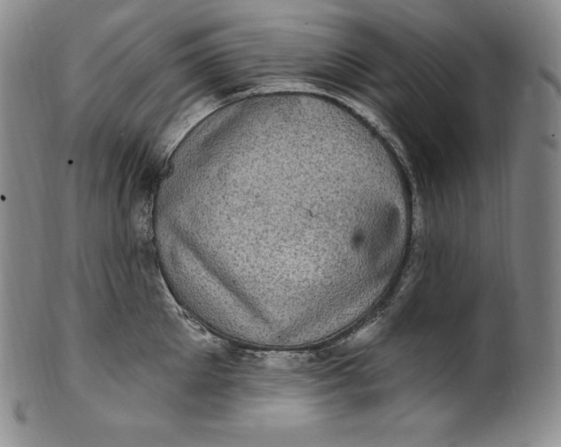 X0000100500905200806271256