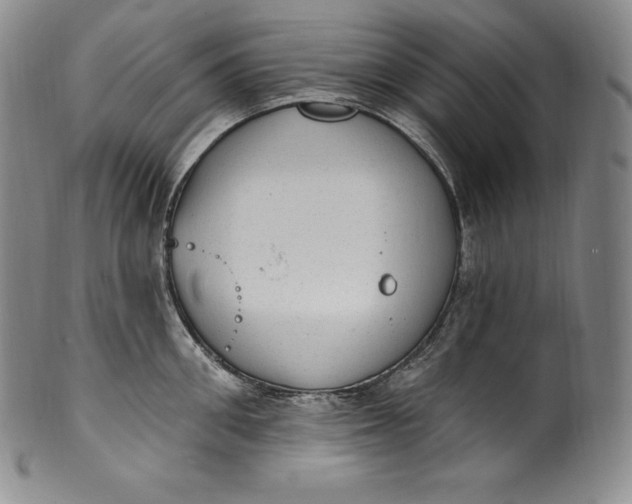 X0000100500906200806271256