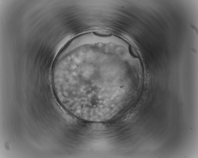 X0000100500907200806271256