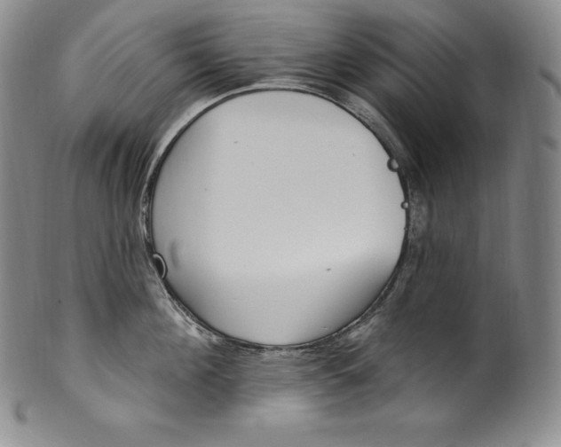 X0000100500908200806271256