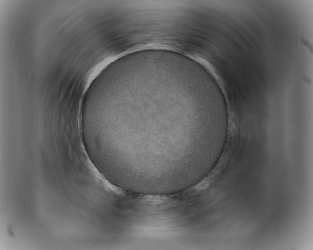 X0000100500910200806271256