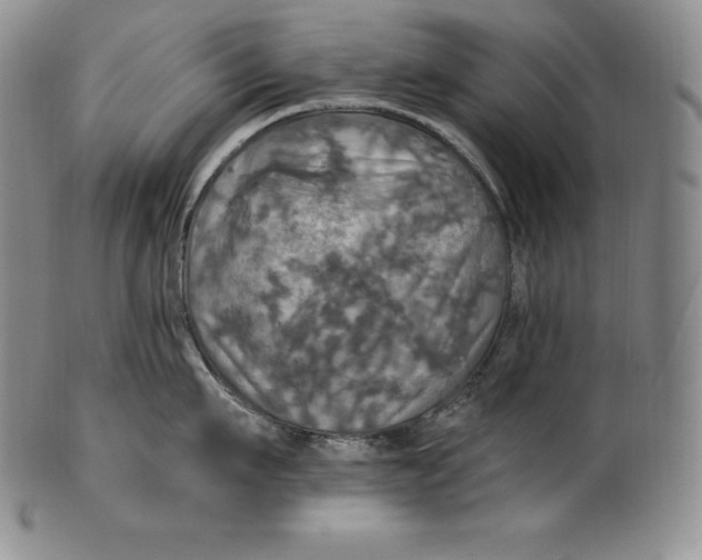 X0000100500911200806271256