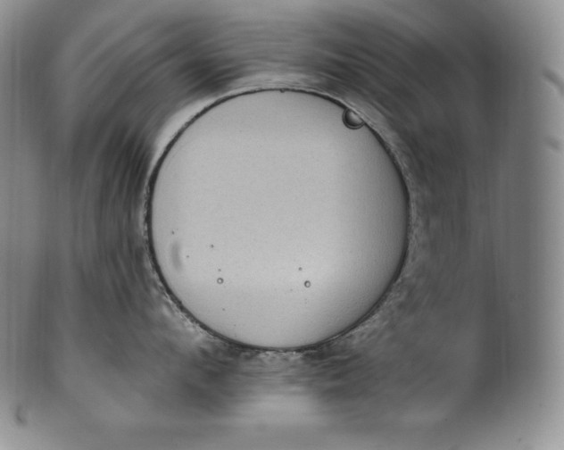 X0000100500912200806271256