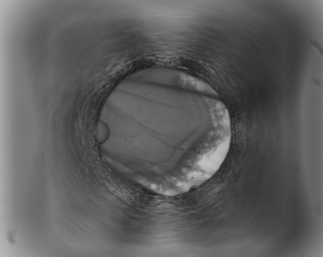 X0000100500913200806271255