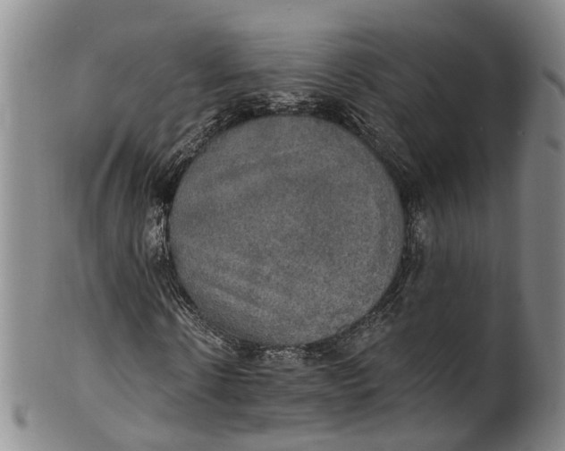 X0000100500914200806271255