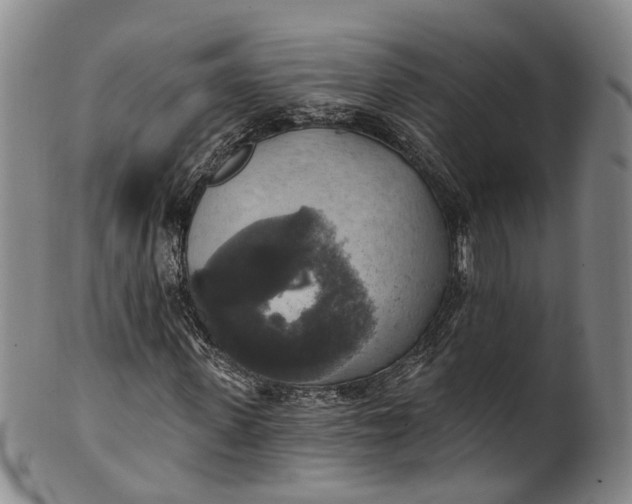 X0000100500915200806271255