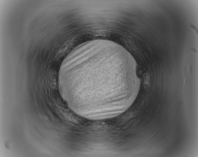 X0000100500916200806271255