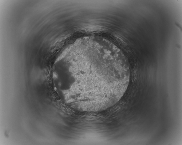 X0000100500917200806271255