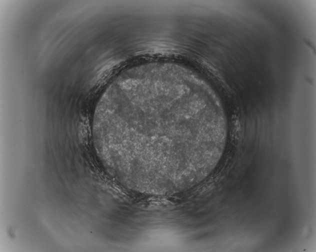 X0000100500918200806271255