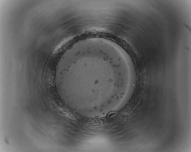 X0000100500919200806271256