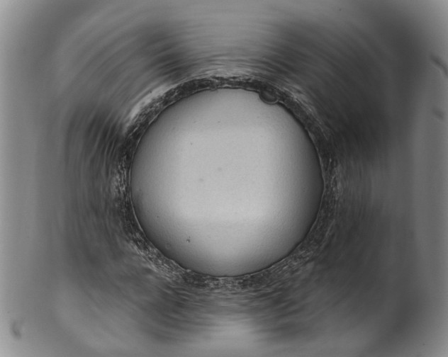 X0000100500920200806271256