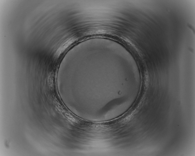 X0000100500921200806271256