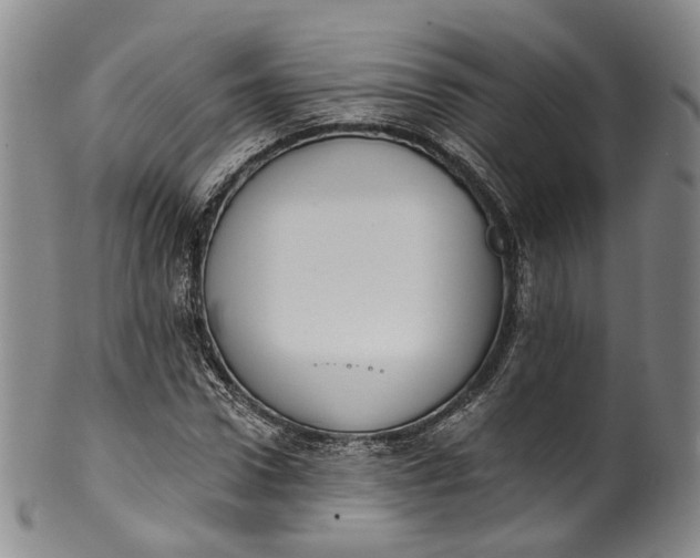 X0000100500922200806271256