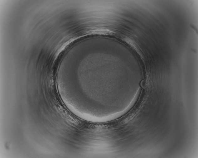 X0000100500923200806271256