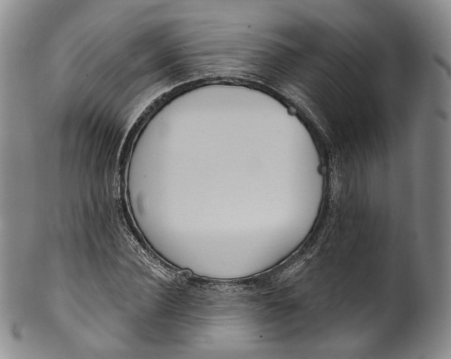 X0000100500924200806271256