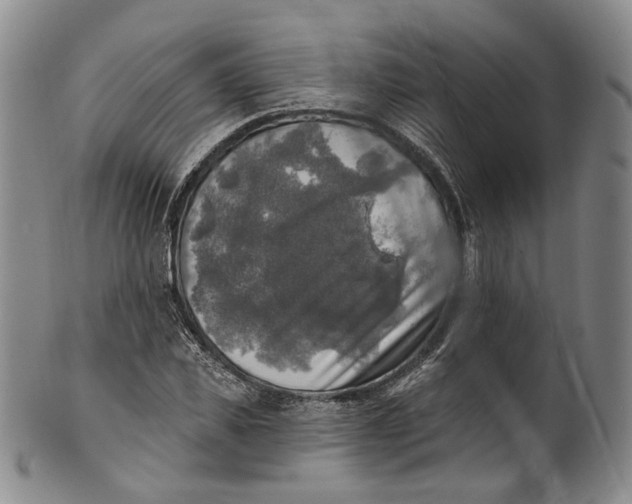 X0000100500925200806271256