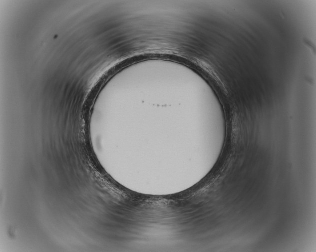 X0000100500926200806271256