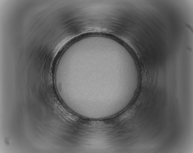 X0000100500927200806271256