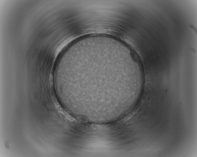 X0000100500928200806271256